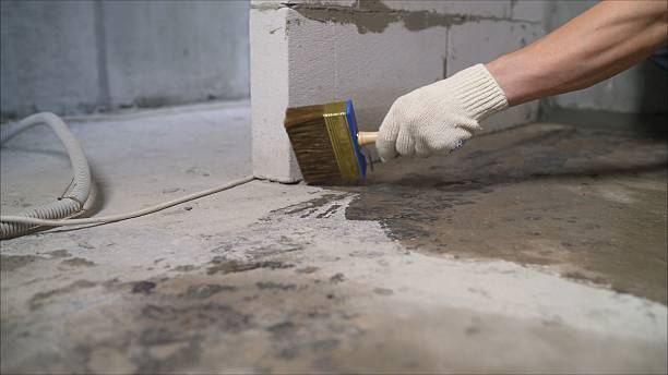 Top rated local Wet Basement Repair specialists in Bailey, MI